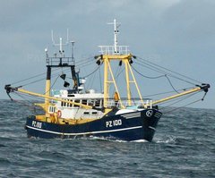 Beam Trawler/Scalloper - Elizabeth N PZ100 - Re advertised due to time waster - reduced price - ID:101069
