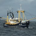 Beam Trawler/Scalloper - picture 2